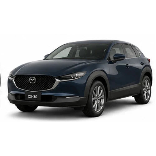 CX 30 2019