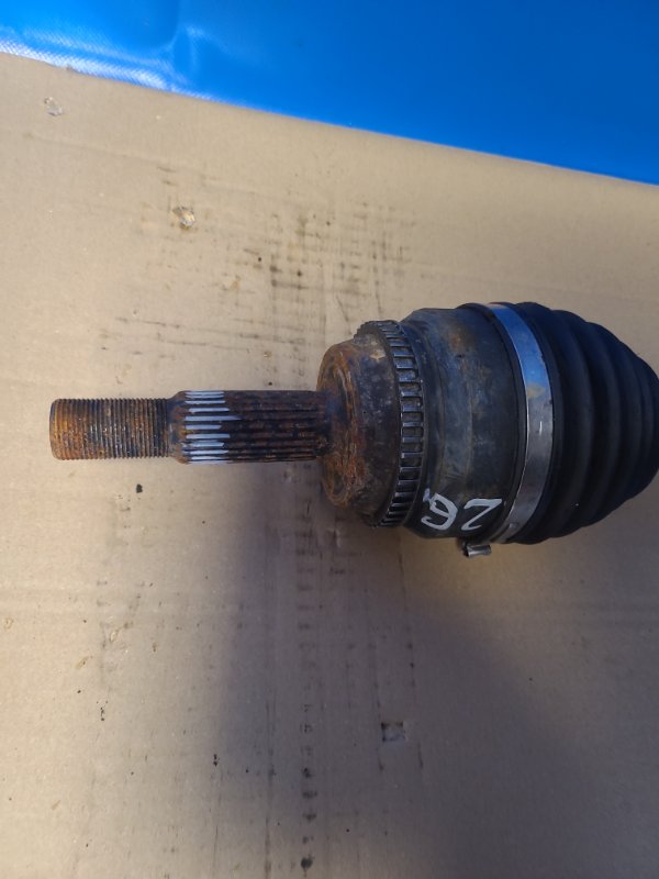 Bild-Alt-Text