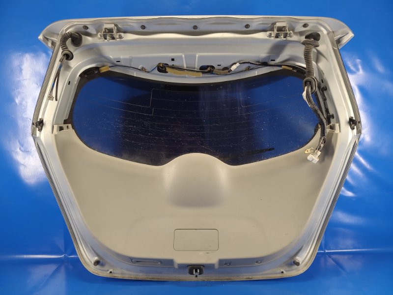 Nissan Leaf 10-17 trunk lid