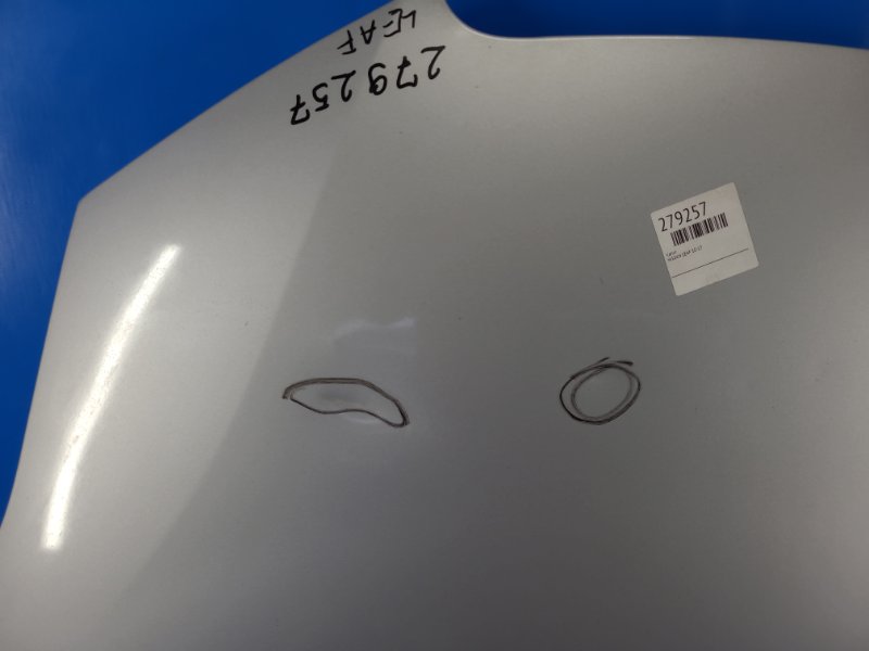Nissan Leaf hood 10-17