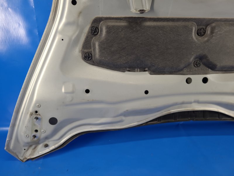 Nissan Leaf hood 10-17