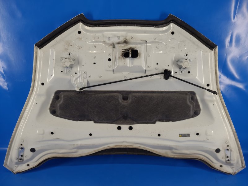 Nissan Leaf hood 10-17