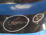 Trunk lid for Nissan Maxima A35 08-15
