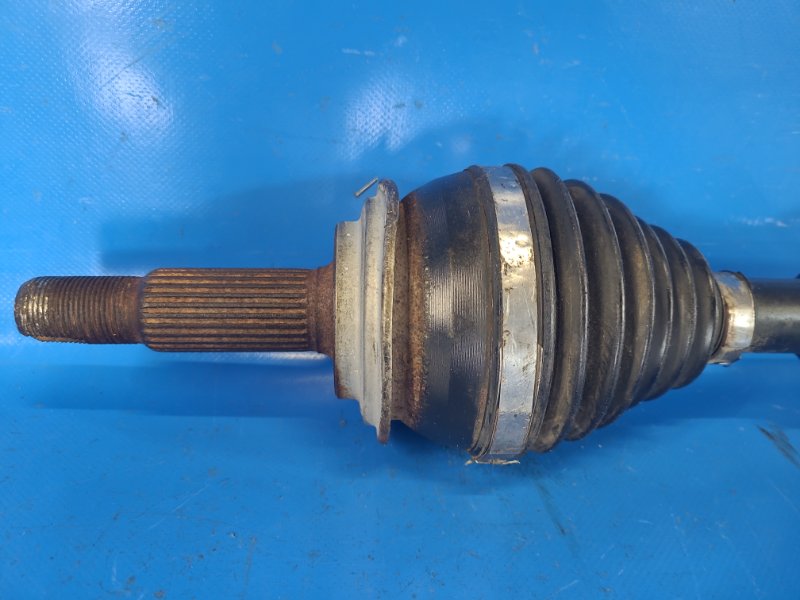 Image alt