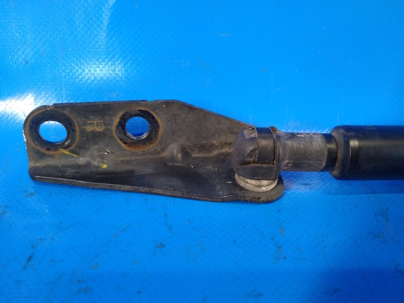 Trunk lid shock absorber SUZUKI SX4 06-13 2008 Right.