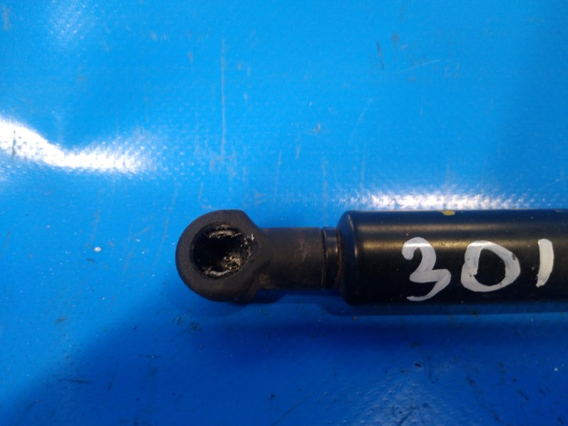 Hood shock absorber LEXUS IS250/350 05-13 2013 Left.