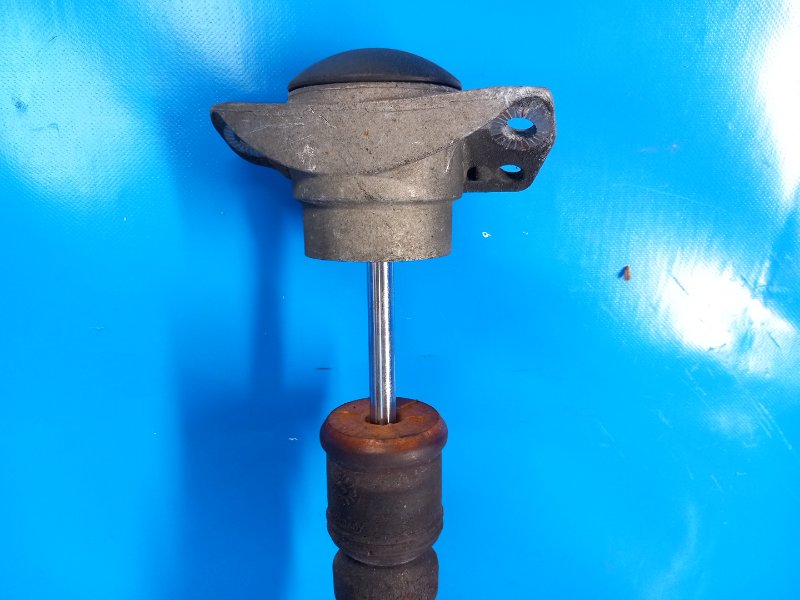 Shock absorber AUDI A6 (C7) 11-18 2011 Left. Rear.