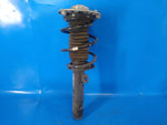 Shock absorber MINI COOPER (F57) 15- 2016 Right Front.