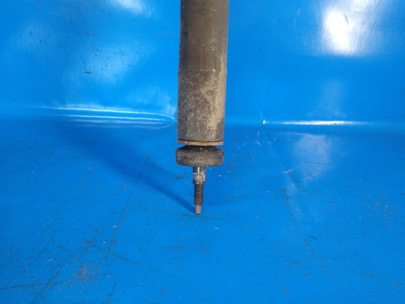 Shock absorber SUZUKI SX4 06-13 2008 Rear.