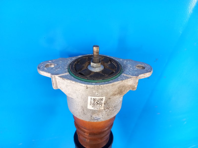 Shock absorber FORD ECOSPORT 18-22 2021 Left. Rear.