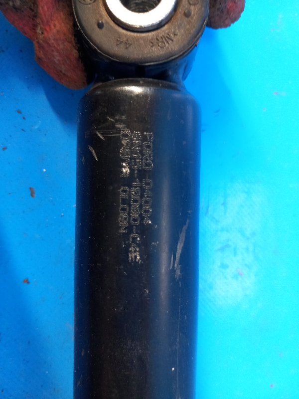 Shock absorber FORD ECOSPORT 18-22 2021 Right. Rear
