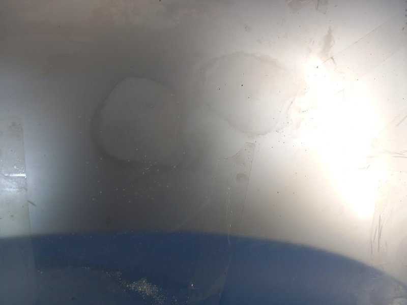 Hood of the Toyota Prius - 09/30/2010