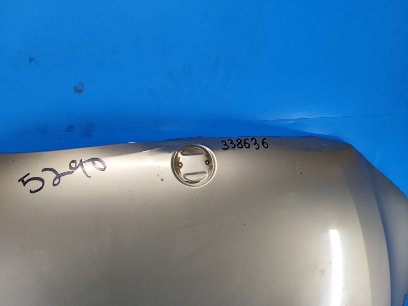 Hood BMW 5 Series (E60/E61) 03-10 2007