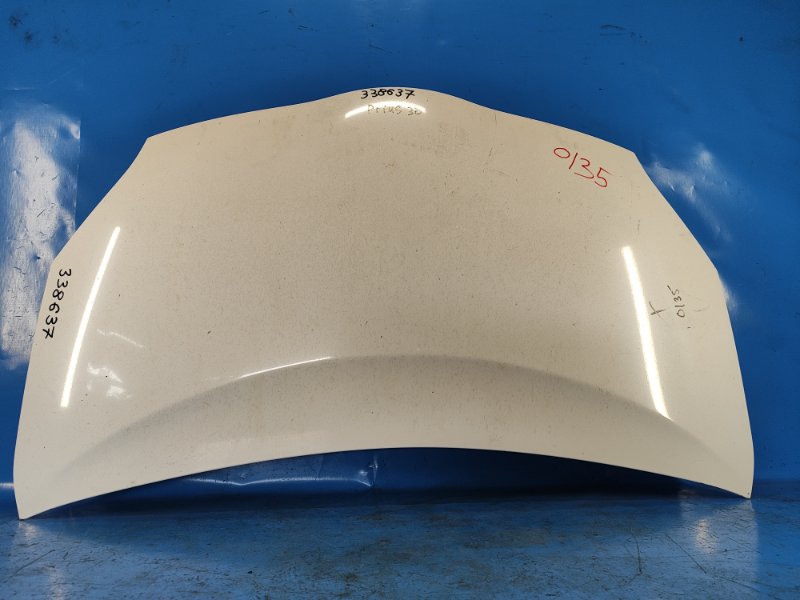 Hood of the Toyota Prius - 30 09-17