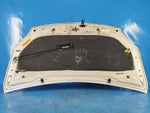 Hood of the Toyota Prius - 30 09-17