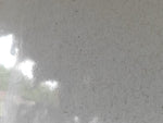 Hood of the Toyota Prius - 30 09-17