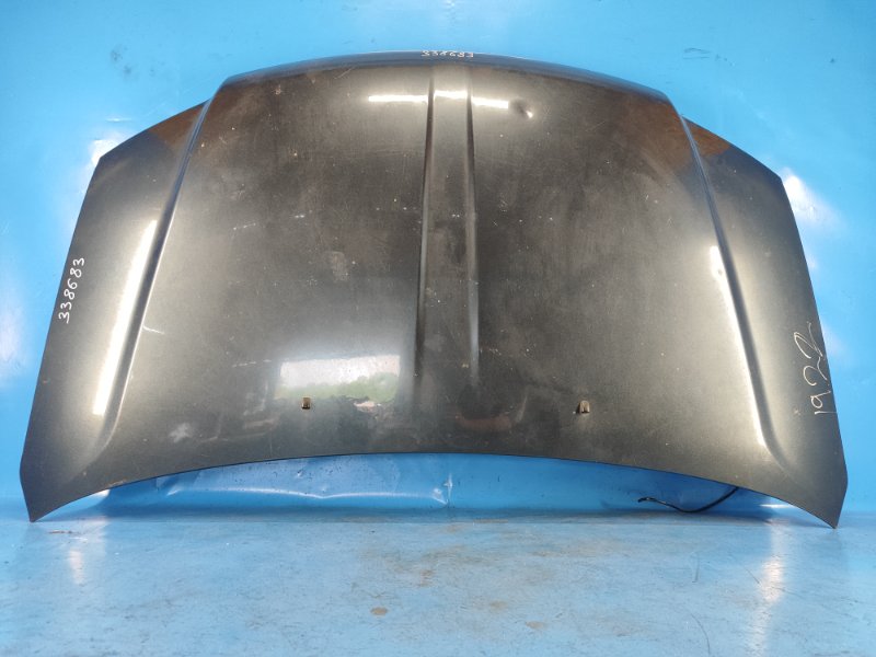 Hood Dodge Grand Caravan 08-2014