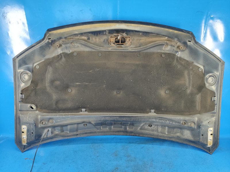 Hood Dodge Grand Caravan 08-2014