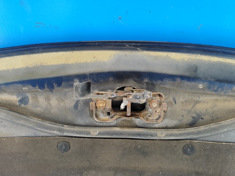 Hood Dodge Grand Caravan 08-2014