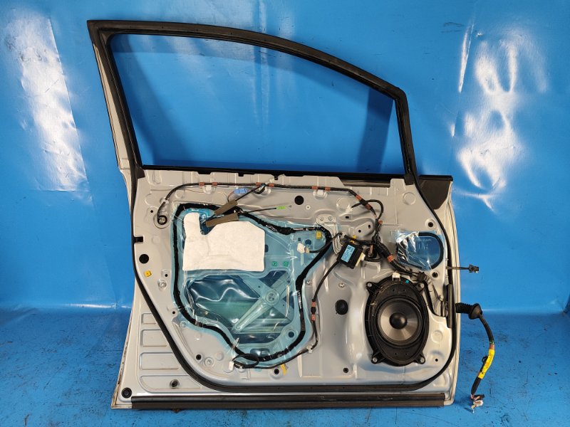 Door LEXUS HS250H (ANF10) 09-12 2009 Left. Front.