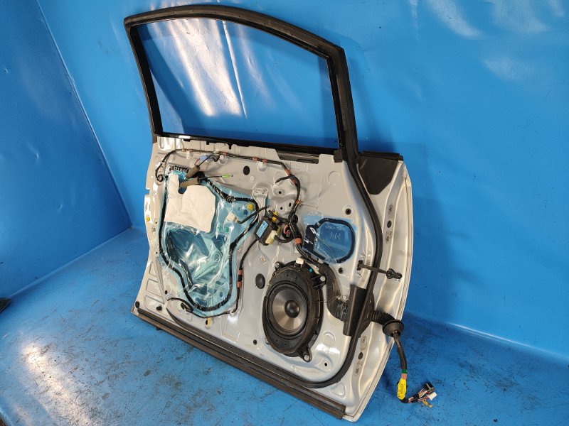 Door LEXUS HS250H (ANF10) 09-12 2009 Left. Front.