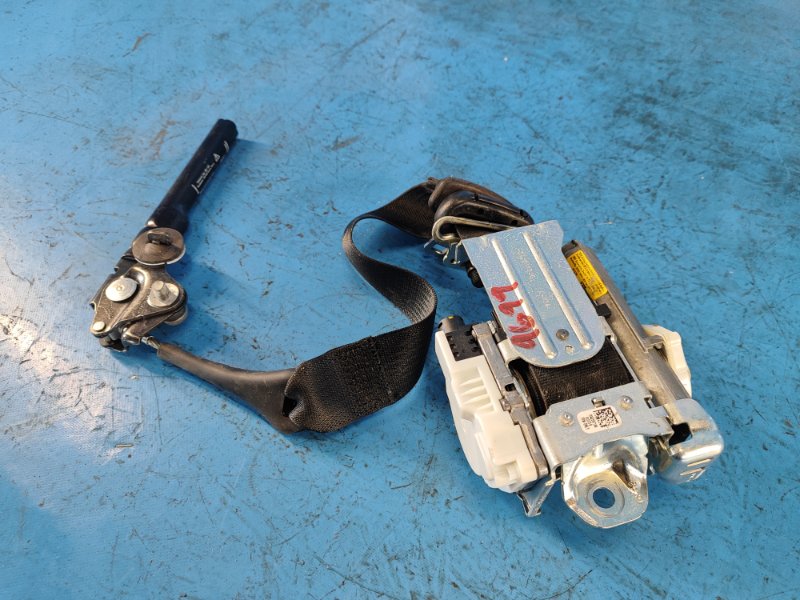 Image alt