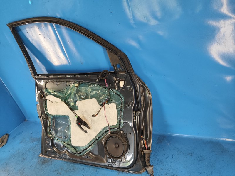 Door TOYOTA RAV4 05-12 Left. Front.