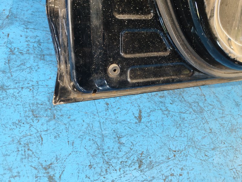 Door TOYOTA RAV4 05-12 Left. Front.