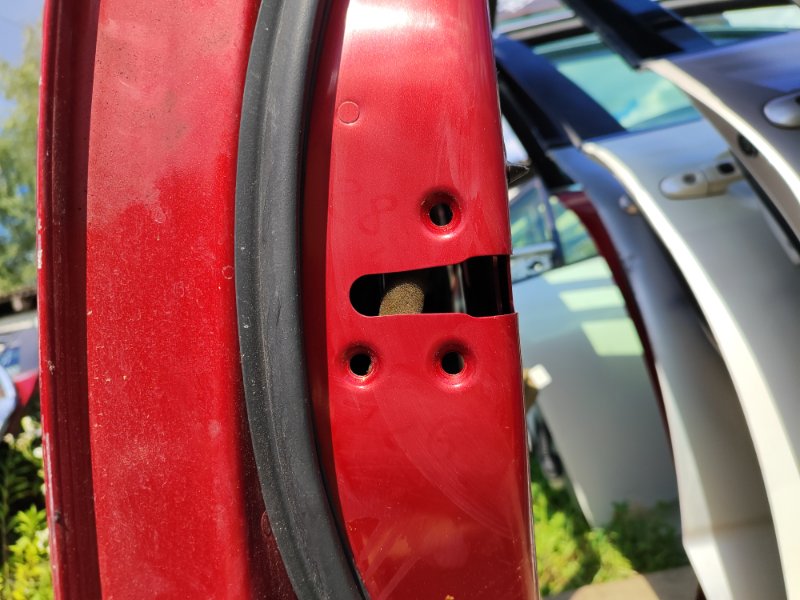 Door NISSAN LEAF 10-17 Left. Front.