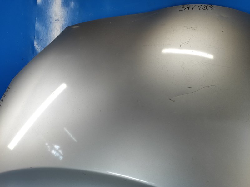 Hood of the Toyota Prius - 30 09-17