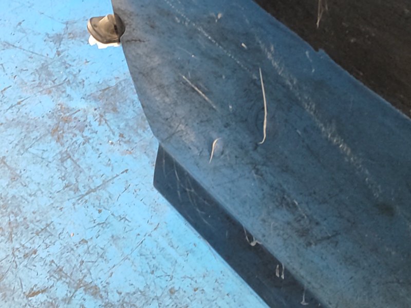 Door TOYOTA RAV4 05-12 Left. Rear.