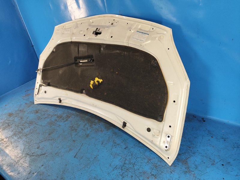 Hood of the Toyota Prius - 30 09-17