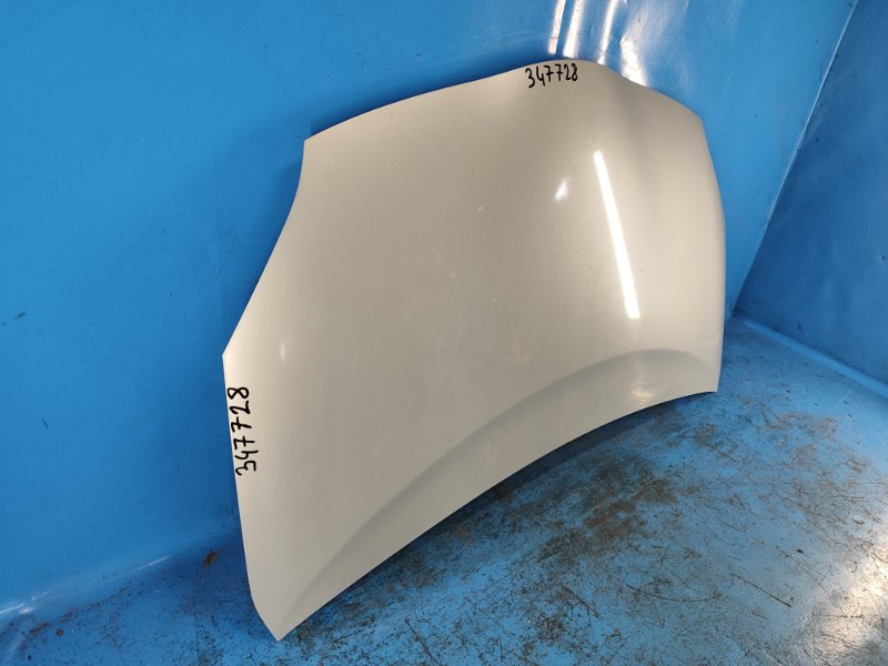 Hood of the Toyota Prius - 30 09-17