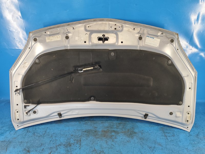 Hood of the Toyota Prius - 30 09-17