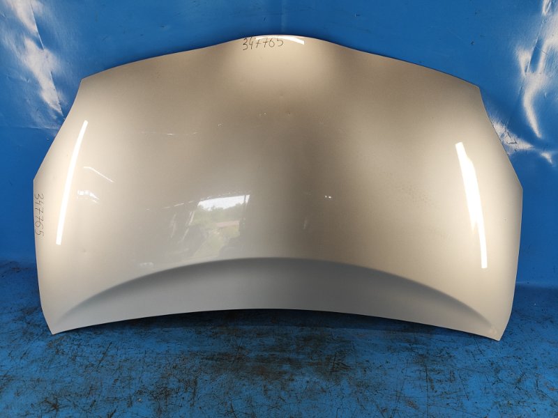 Hood of the Toyota Prius - 30 09-17