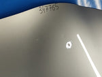 Hood of the Toyota Prius - 30 09-17