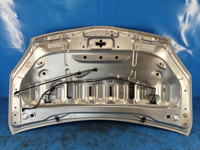 Hood of the Toyota Prius - 30 09-17