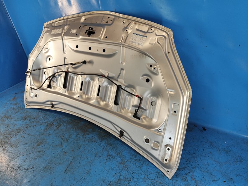Hood of the Toyota Prius - 30 09-17
