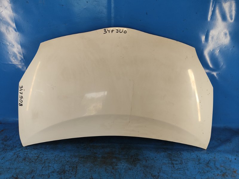 Hood of the Toyota Prius - 30 09-17