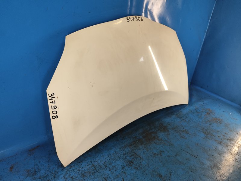 Hood of the Toyota Prius - 30 09-17
