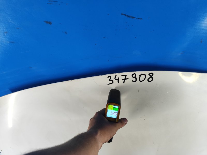 Hood of the Toyota Prius - 30 09-17