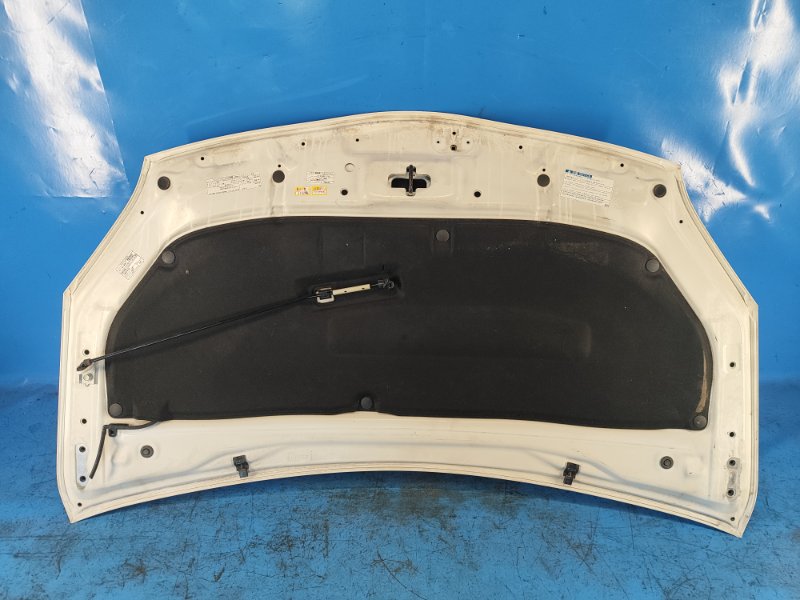 Hood of the Toyota Prius - 30 09-17