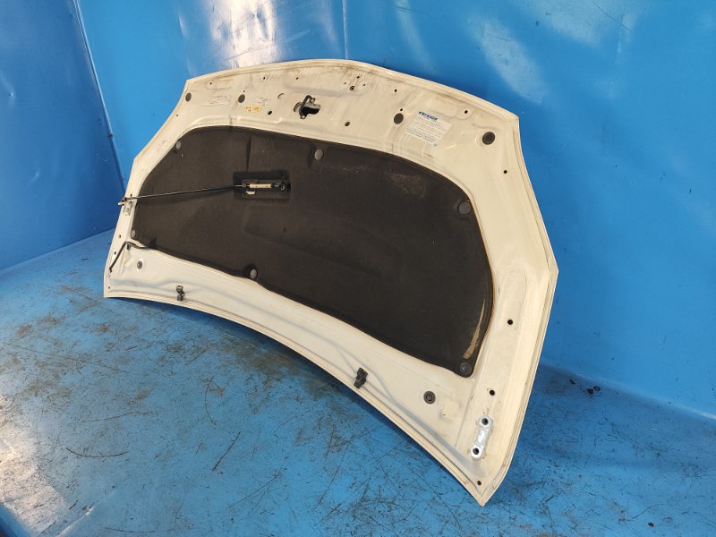 Hood of the Toyota Prius - 30 09-17