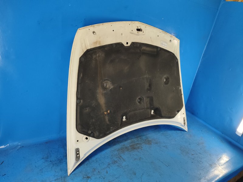 Hood for Honda Accord Cu8/TSX 08-14