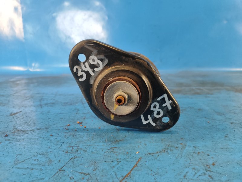 Shock absorber MINI COOPER S R56 06-14 2009 Left. Rear.