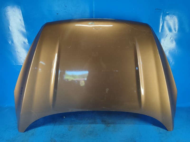 Ford Escape Hood 12-19