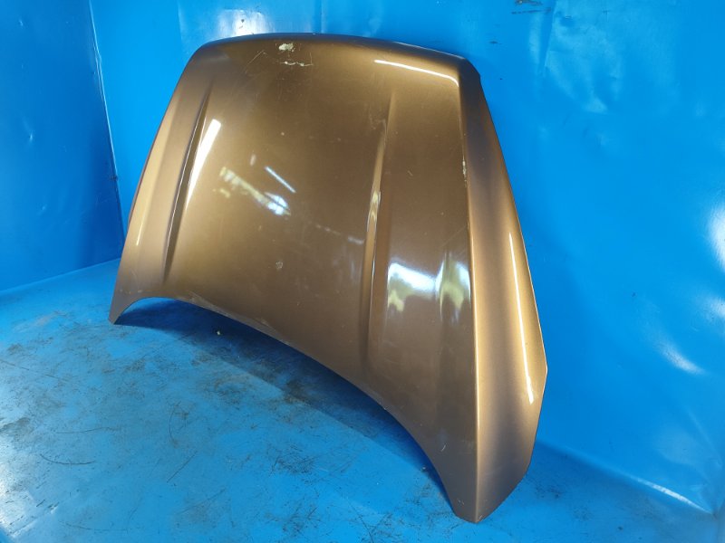 Ford Escape Hood 12-19