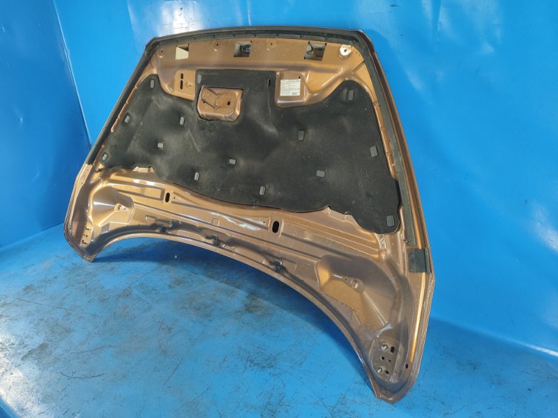 Ford Escape Hood 12-19