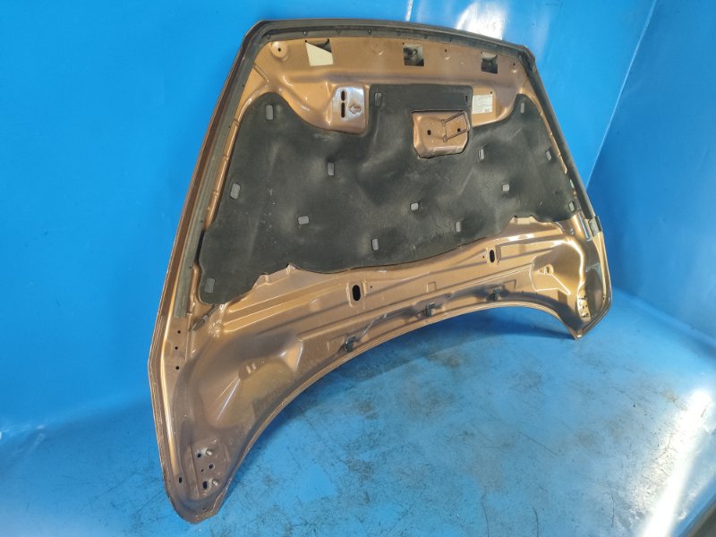 Ford Escape Hood 12-19