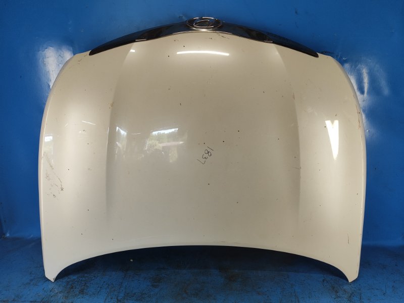 Hood Hyundai Sonata YF 10-14 2012